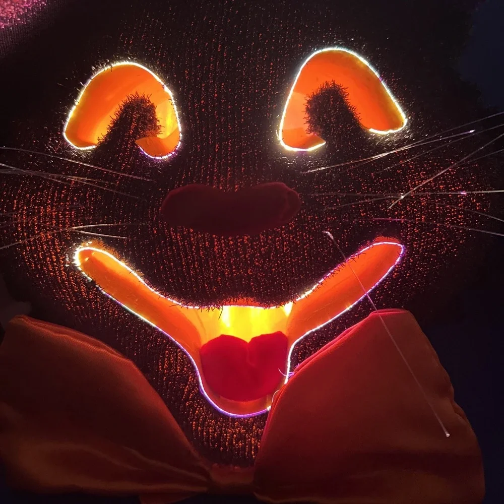 Dept 56 Halloween Black Cat Bow Tie Color Changing FIBER OPTIC Vintage 14x12